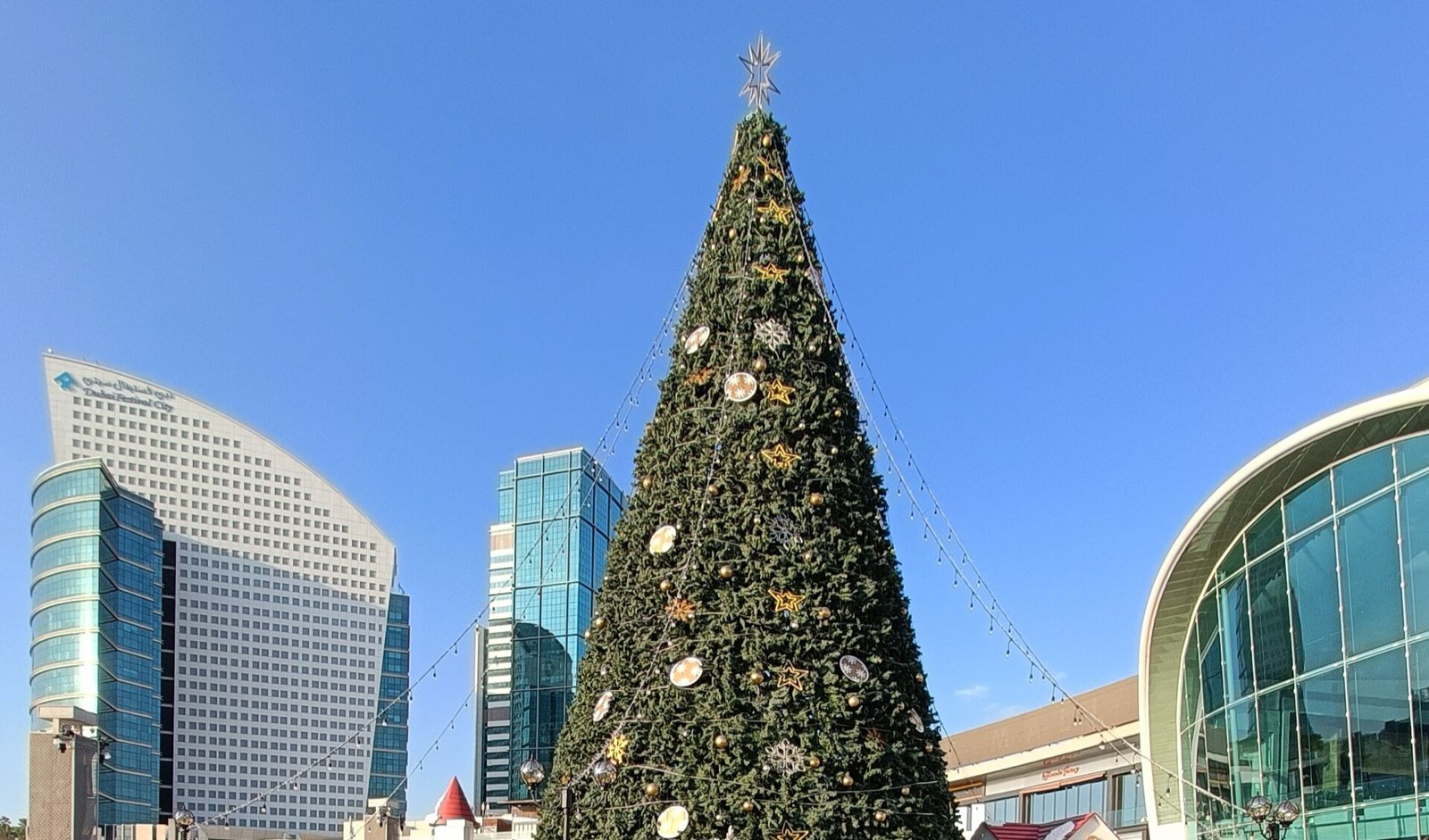 Высокая новогодняя ёлка на площади у Dubai Festival City Mall на фоне небоскрёбов и голубого неба